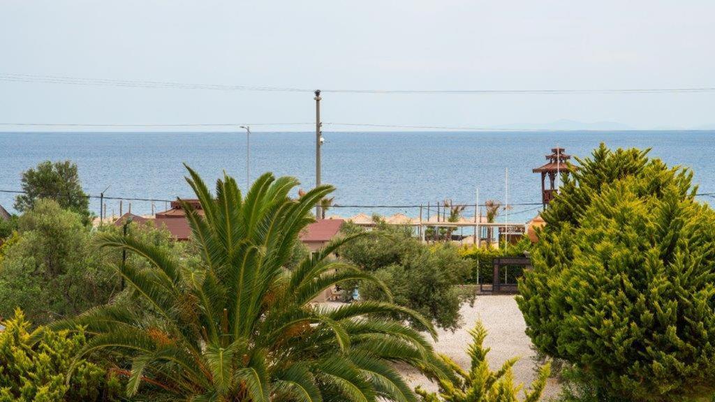 Club Kavala Beach Hotel Assos Exteriör bild